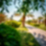 A panoramic view of Abu Shagara Park showcasing its lush greenery and pathways