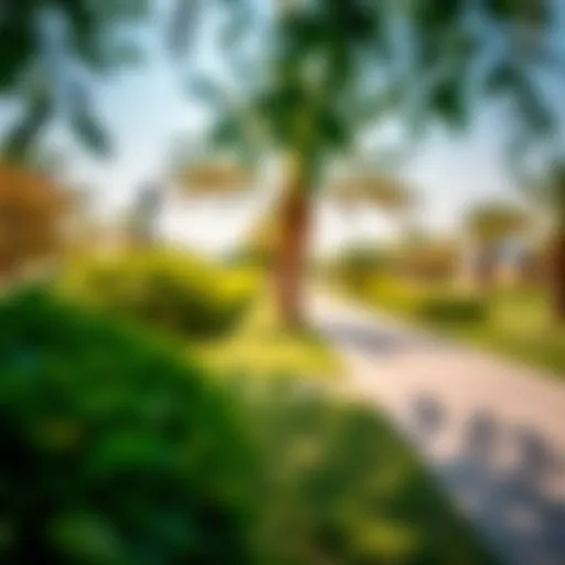 A panoramic view of Abu Shagara Park showcasing its lush greenery and pathways