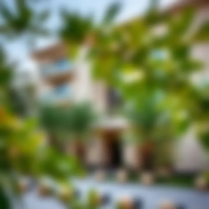 Outdoor view of Al Ghadeer Hotel Apartment with surrounding greenery