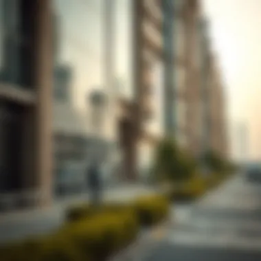 Visual representation of socio-economic factors affecting property values in Dubai