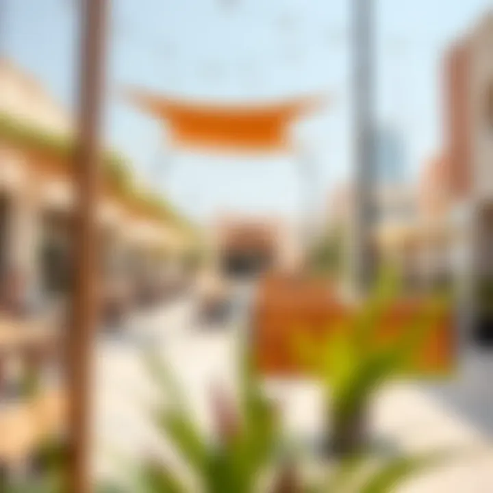 Vibrant community spaces in Al Zahia