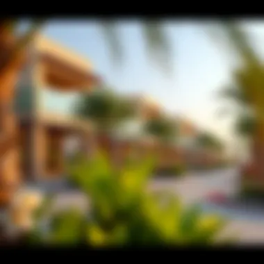 Community amenities surrounding Amalia