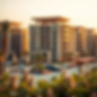 Investment insights on Amalia's market trends