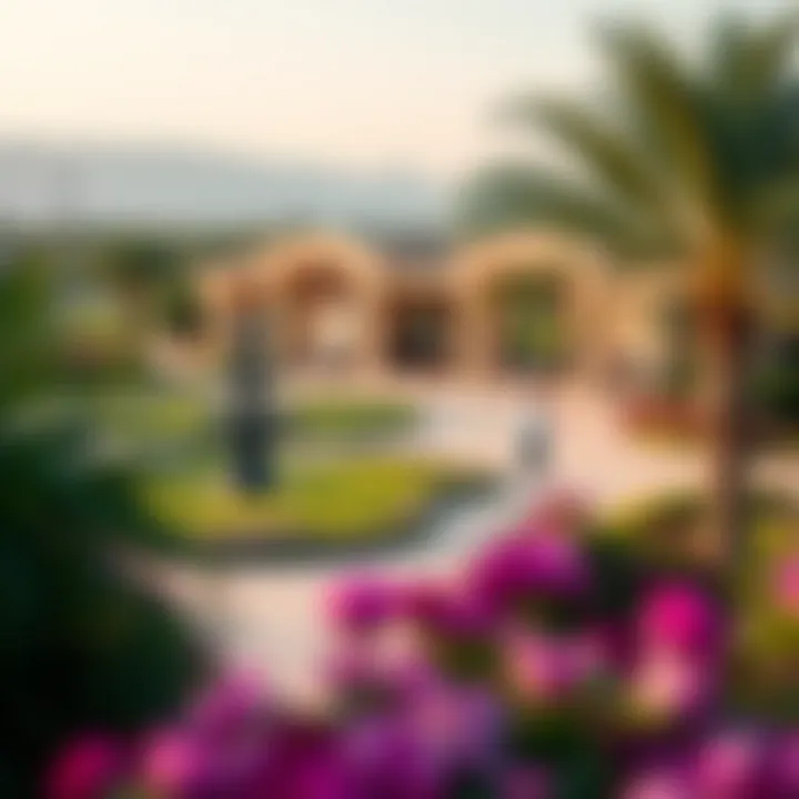 Community park in Damac Hills showcasing lush landscapes