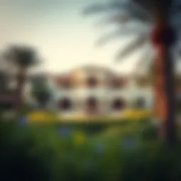 Lavish villa surrounded by greenery in Damac Hills