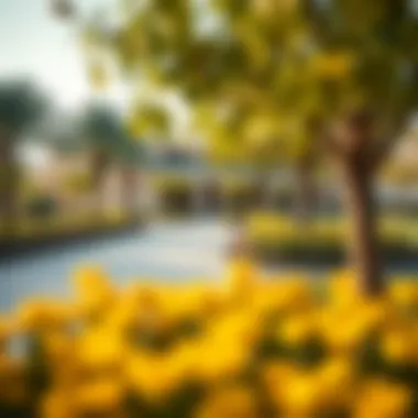 Community Amenities in Damac Tecom Community amenities in Damac Tecom including parks and recreational spaces