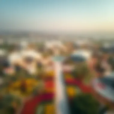 Aerial View of Wonder Garden Aerial view of Wonder Garden showcasing its vibrant floral designs