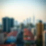 A visual representation of the UAE skyline showcasing residential buildings.