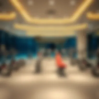 Amenities offered in Addax Tower including fitness and leisure areas