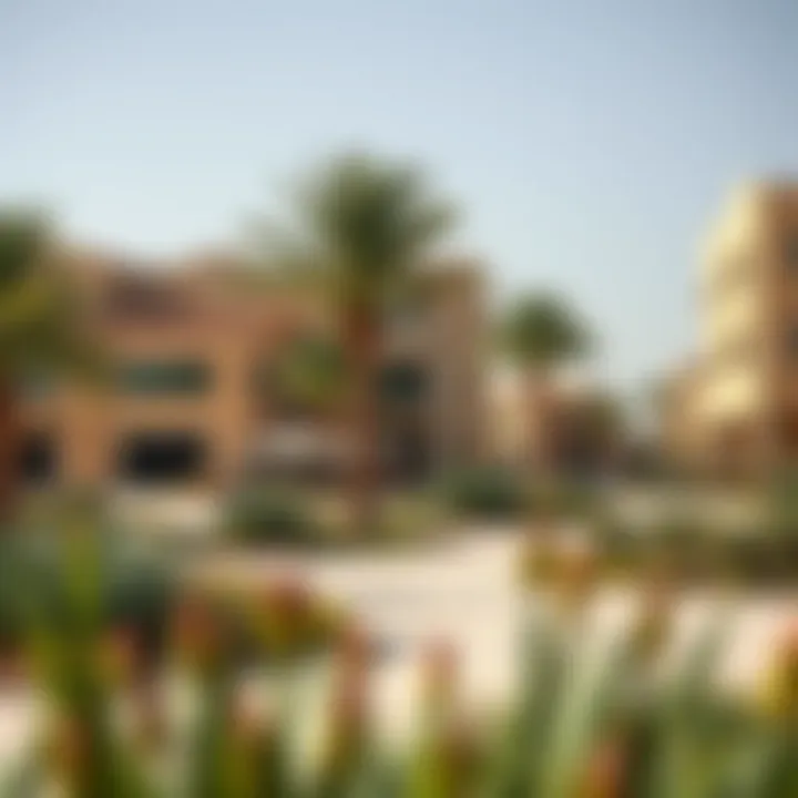 Modern amenities in Al Muwailih including parks and community centers