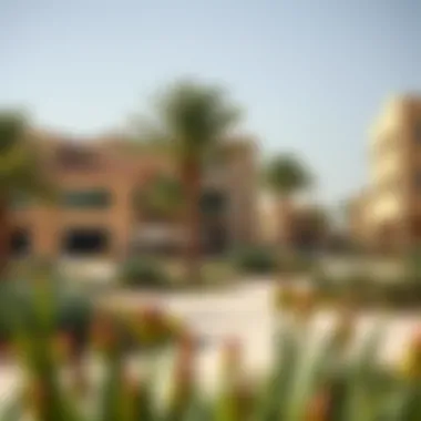 Community Features in Al Muwailih Modern amenities in Al Muwailih including parks and community centers
