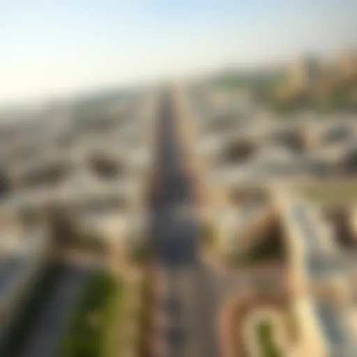 Aerial view of Al Warsan 4 showcasing residential developments