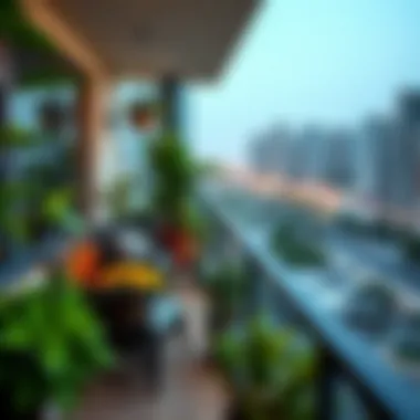 Lush balcony garden with a view of Dubai's urban landscape