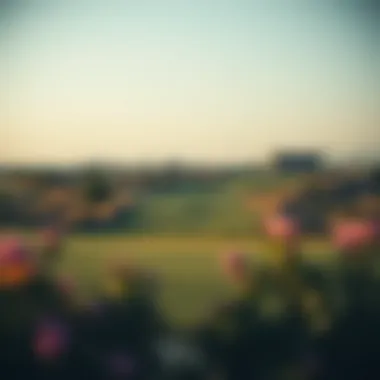 Scenic golf course within the Damac Hills community