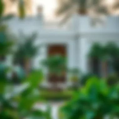 Architectural elements blended with nature in a Dubai garden