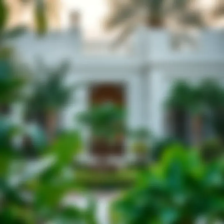 Architectural elements blended with nature in a Dubai garden