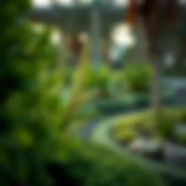 Close-up of intricate landscaping features in one of Dubai's famous parks