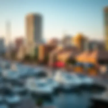 Neighborhood Dynamics: The Heart of Dubai Marina Vibrant neighborhood surrounding Escan Marina Tower