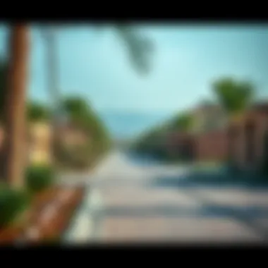 Vibrant community landscape within Jumeirah Islands