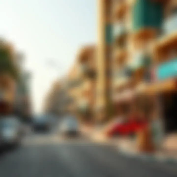 Vibrant Street View of Karama Street view of Karama highlighting vibrant neighborhood life