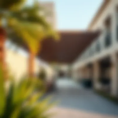 Vibrant community spaces in Lulu Al Qusais