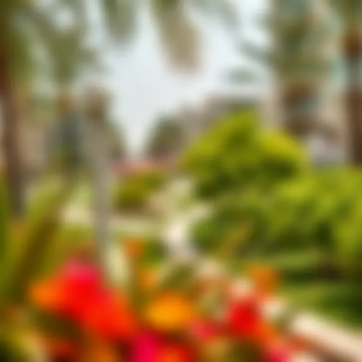 Vibrant community park in Manazil Al Raffa with lush greenery