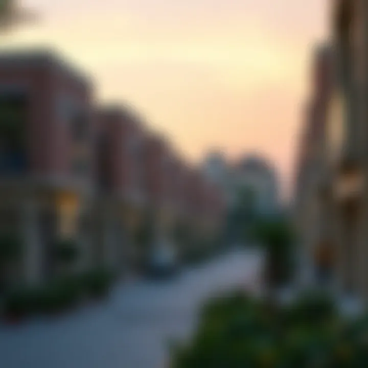 Vibrant community in IMPZ