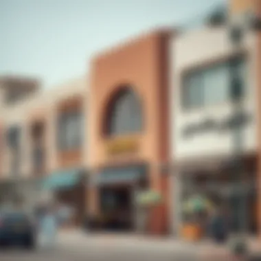 Highlighting the unique storefronts that attract customers. Vibrant storefronts in Al Quoz 4