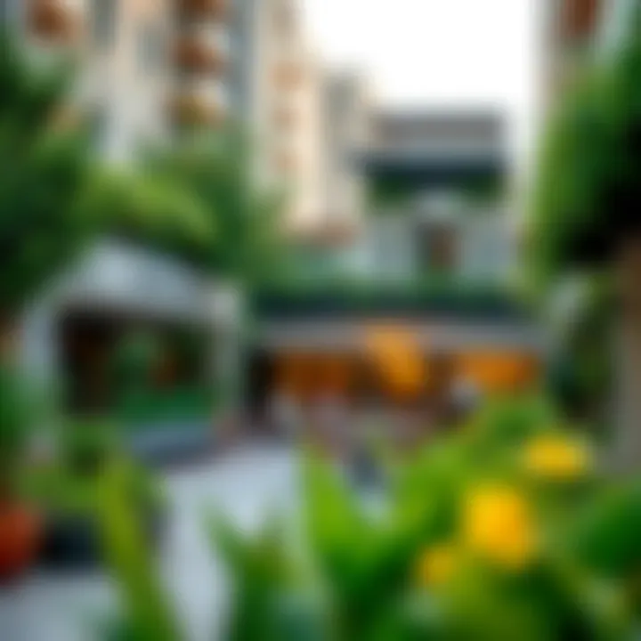 Vibrant outdoor spaces filled with greenery and social areas at Saya City Walk