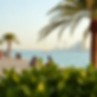 Recreational Activities by the Waterfront Recreational activities along the waterfront