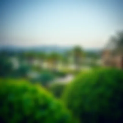 Panoramic view of Al Bateen Gardens showcasing lush greenery