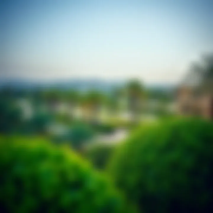 Panoramic view of Al Bateen Gardens showcasing lush greenery