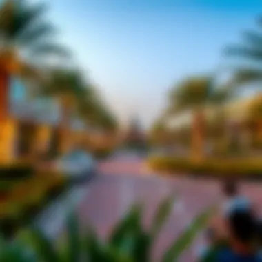 Public Amenities and Parks Enhancing Meydan Lifestyle Public amenities and parks in Meydan contributing to community lifestyle