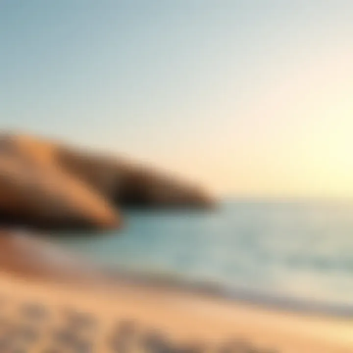 A hidden beach in Dubai showcasing calm waters and soft sand