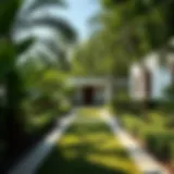 A serene garden in Dubai with lush greenery and quiet pathways