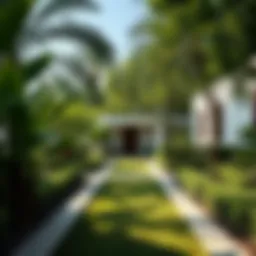 A serene garden in Dubai with lush greenery and quiet pathways