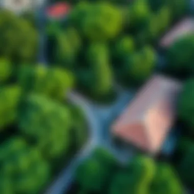 Aerial view of Union Garden showcasing its lush greenery and layout