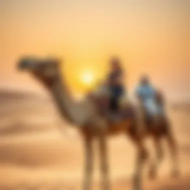 Desert Adventure on Camelback Camel riding in the desert landscape