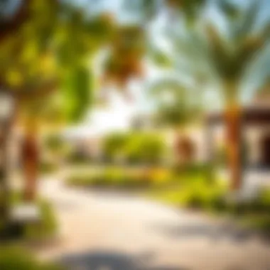 An overview of amenities available in Umm Al Sheif featuring parks and recreational areas