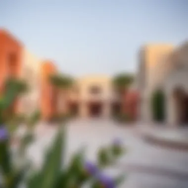 Community amenities and recreational areas in Wadi Al Shab