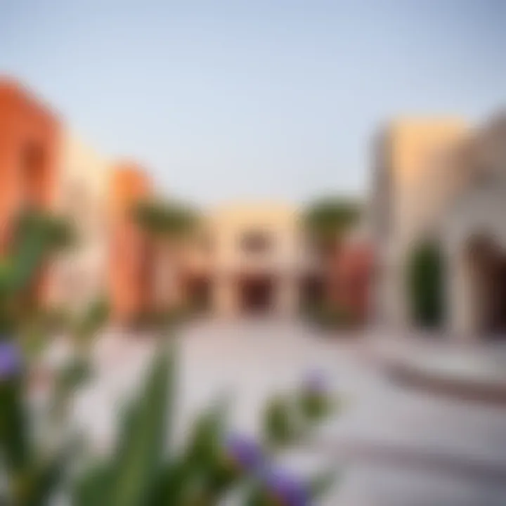 Community amenities and recreational areas in Wadi Al Shab