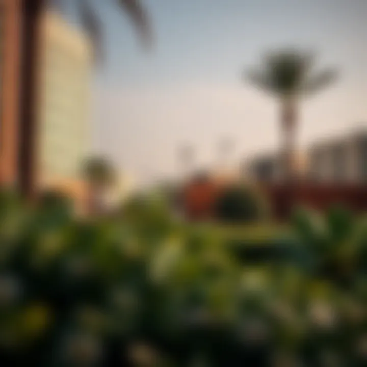 Local amenities and parks in Al Hamr neighborhood