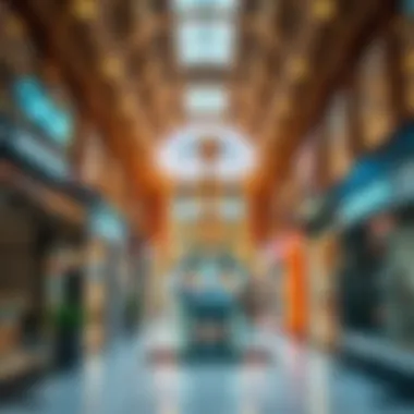 Overview of Dubai Mall highlighting its premium retail spaces