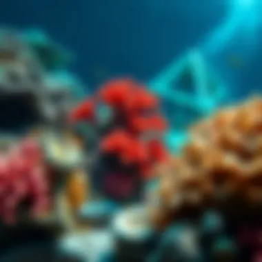 A vibrant coral reef showcasing marine biodiversity in Dubai's waters