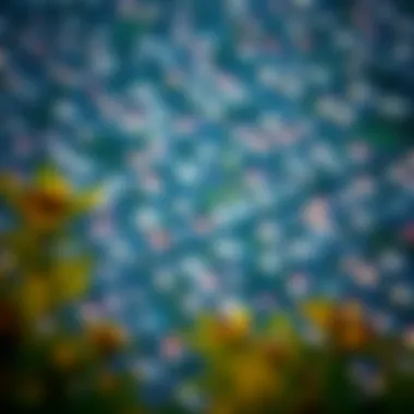 Residential Landscape of MBZ City Aerial view of MBZ City highlighting residential areas