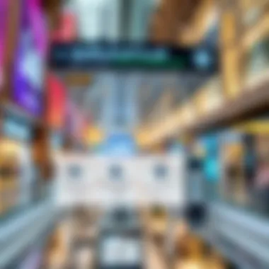 Understanding Salik System Operations Infographic depicting Salik system operations