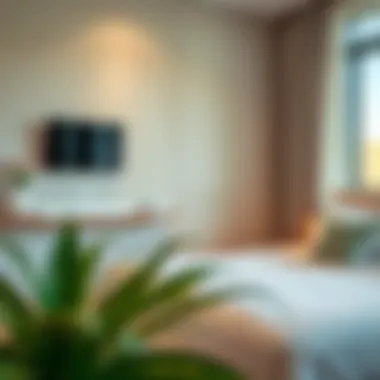 Essential Amenities for Studio Living Key amenities checklist for studio living