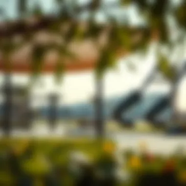 Local park and recreational area in NMC Nahda