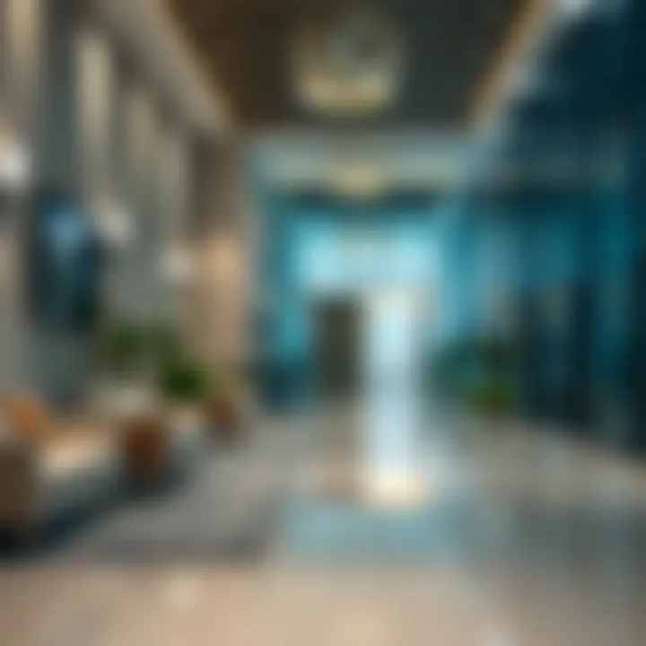 Understanding Bureaucratic Procedures Navigating the bureaucratic landscape in the UAE