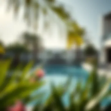 Tranquil Pool Oasis in Dubai Serene private pool surrounded by lush greenery